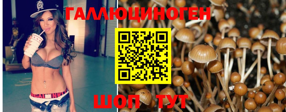 Галлюциногенные грибы мицелий  Вход с VPN  Галлюциногенные грибы Psilocybe  Лобня 